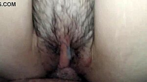 أكل كريم باي من زب الزوجة الصغير