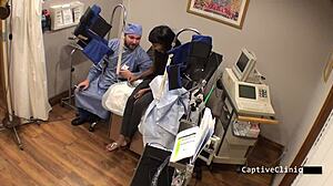 The New Guinea Pig Eliza Sheilds