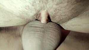 Beautiful amateur couple rides big cock