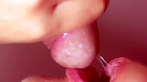 Japanese Girl Gives Monster Cock Blowjob Close-Up!