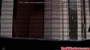 Dutch Tourist Enjoys Homemade Session