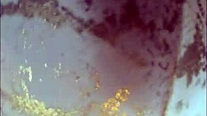 Smuk europæisk stedmor MILFycalla snyder i strømper, røv rystende close-up