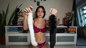 tour of my sex toy collection including dildo vibrator and anal plug