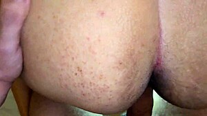 Naughty Little Ant And His Games Pt 11