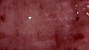 i fucked sweet ebony and cumshot her