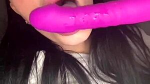 teen american exchange student masturbates solo on webcam