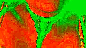 Exotic Bluee Shows Horny Face Of Pleasure While Pussy Is Licked