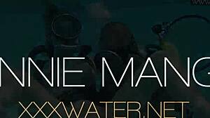 Gata Húngara Chupa Pau Gigante na Piscina