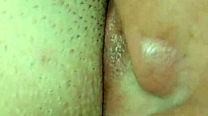 After CARNIVAL, I come home and FUCK my curvy girl hard with toys.