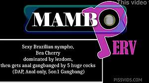 Can Bea Cherry handle lezdom domination before anal gangbang with five huge cocks?
