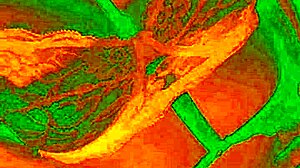 Exotic Bluee Shows Horny Face Of Pleasure While Pussy Is Licked