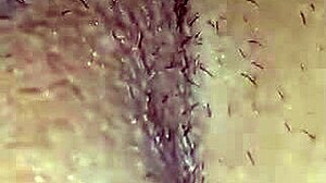 close up comendo a buceta da putinha de perto pra voces