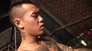 does blonde slut get dominated