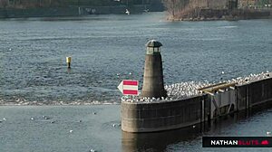 Is lady dee ready for her stepfather to pound her tight pussy in 4k?