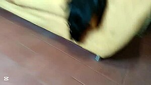 i give my chubby stepsister goodnight fuck