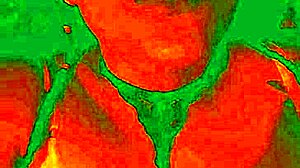 Exotic Bluee Shows Horny Face Of Pleasure While Pussy Is Licked