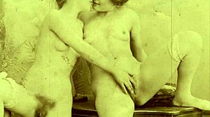 dark lantern entertainment hints at my secret life with vintage hairy beaver