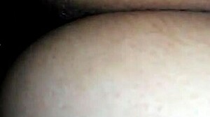 hey, check out this juicy guanajuato ass ready for some fun