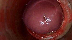 camera deep inside wet pussy shows massive sperm ejaculation asmr