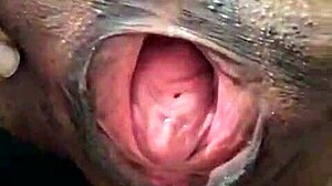 ブレンダ・フロリパが服を破いてソロ・マスターベーションを展示