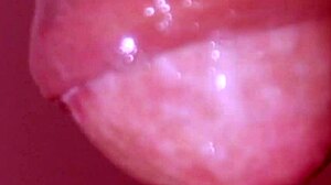 日本人妻の不倫フェラと口内射精