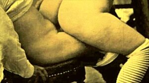 dark lantern entertainment hints at my secret life with vintage hairy beaver