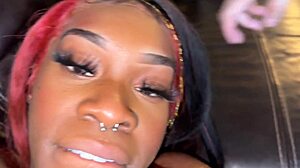 Bold Harmonie Barz Solo Action