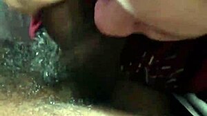 Mr Fly Guy Boldly Bangs Her Mouth Out In Intense Group Sucking Scene