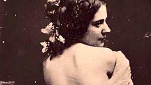 dark lantern entertainment hints at my secret life with vintage hairy beaver