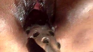 巨大黑逼在激烈自慰中插入巨大假阳具和刺激阴蒂