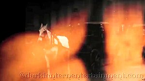 Dark Lantern Entertainment Presents Vintage Swingers From My Secret Life Erotic Confessions Of Victorian English Gentleman