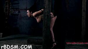 are these shackled angels getting their pussies drilled roughly?