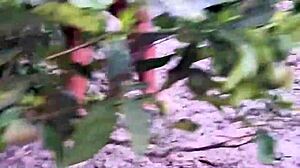 Vizinha evangélica pegando frutas in a casual outdoor moment with curvy ebony wife showing off her big natural tits