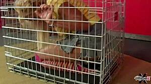 Scott Rhodes unloads sperm on Maxine Xs lips after hard fuck