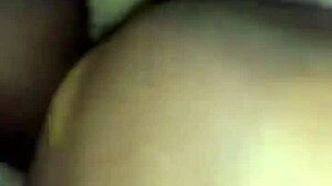 The doggie felt so hot during the summer day walk