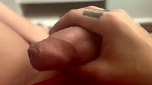 Bom dia meus amores, isn't waking up to a delicious cumshot with a trans transex just the best?