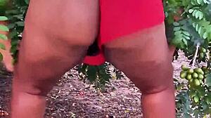Vizinha evangélica pegando frutas in a casual outdoor moment with curvy ebony wife showing off her big natural tits