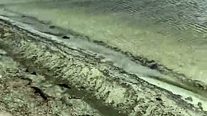 loira casada paulista com tatuagem e cabelo longo transa com amante carioca na praia pública