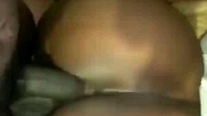 The doggie felt so hot during the summer day walk