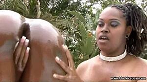 Delotta Brown and Shadow Cat Feature in Smooth 60fps Video Footage