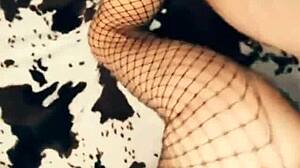 FUCKING My Friend's Wet Pussy Sister in Lingerie and Stockings!