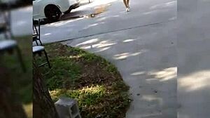 sensual teen with big tits shows off her assets