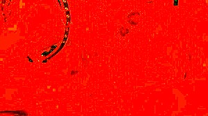 Halloween Gay Party Seduces Straight Friend For Intense Bareback Action In Ruins