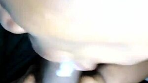 suck this dick you know you want to!