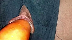 filming this skinny girl showing off her pretty panties in a casual setup 😊  