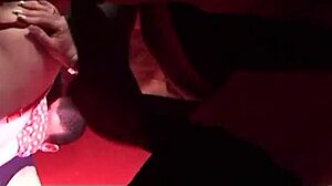 cindy leads wild group fuck fest with male and female friends including anal and cum in mouth