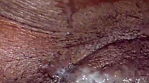 Devouring Wet Ebony Pussy to Orgasm