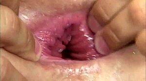 nicole sheridan endures intense anal pounding as submissive slave with facial cumshot finish