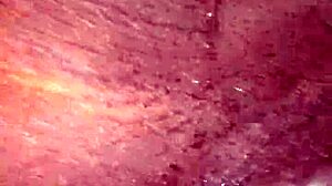 Devouring Wet Ebony Pussy to Orgasm