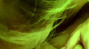 alineflavio update 155 from september 26 2024